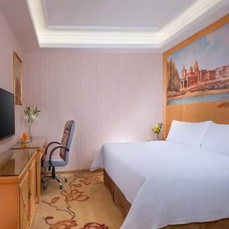 Vienna Hotel Shawan