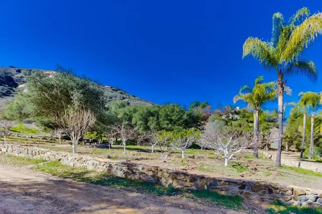 Vineyard Hacienda