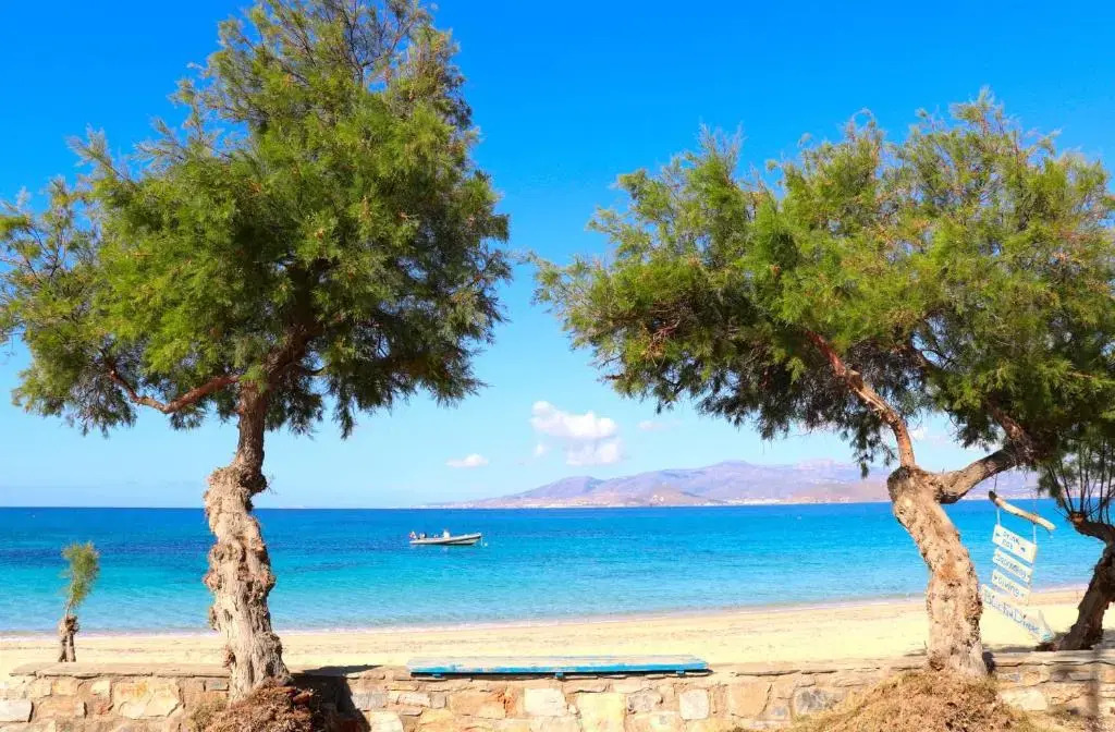 Villa Mila, Agios Prokopios beach, by NaxosVibe