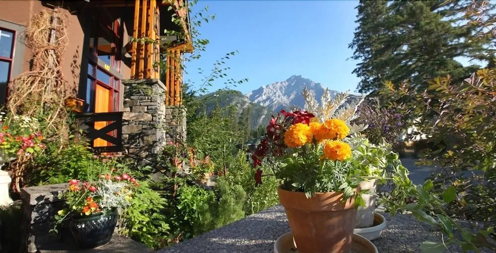 Buffaloberry Bed & Breakfast