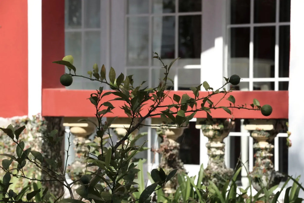 Ohayou Dalat Homestay