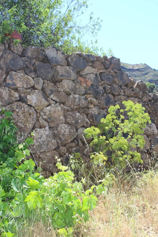 Tejeda Parque Rural el Nublo