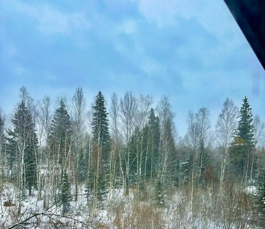 Хаски