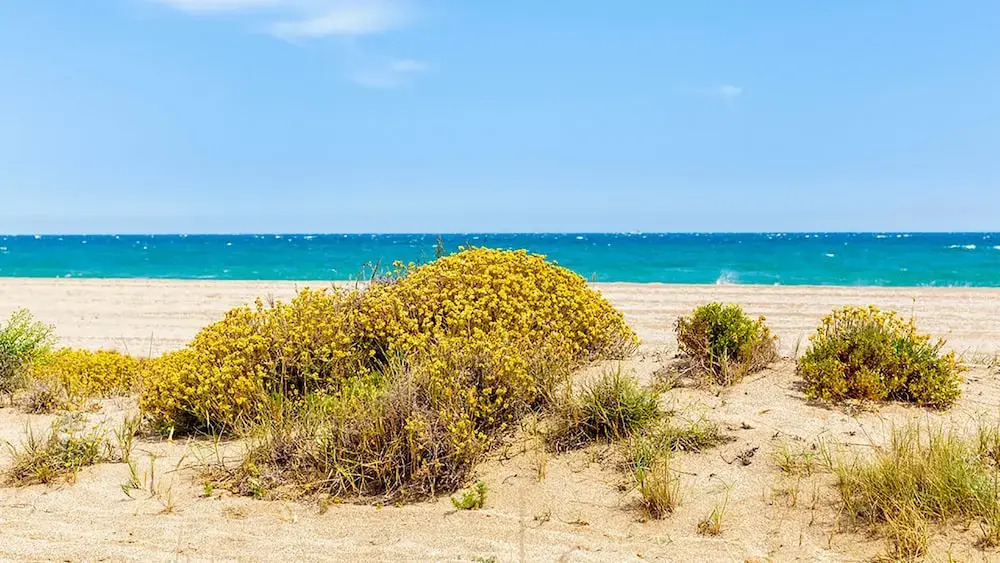 Apartamento Villa Romana