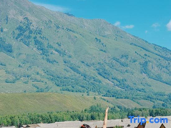Hemu Youyuan Chalet Forest B&B