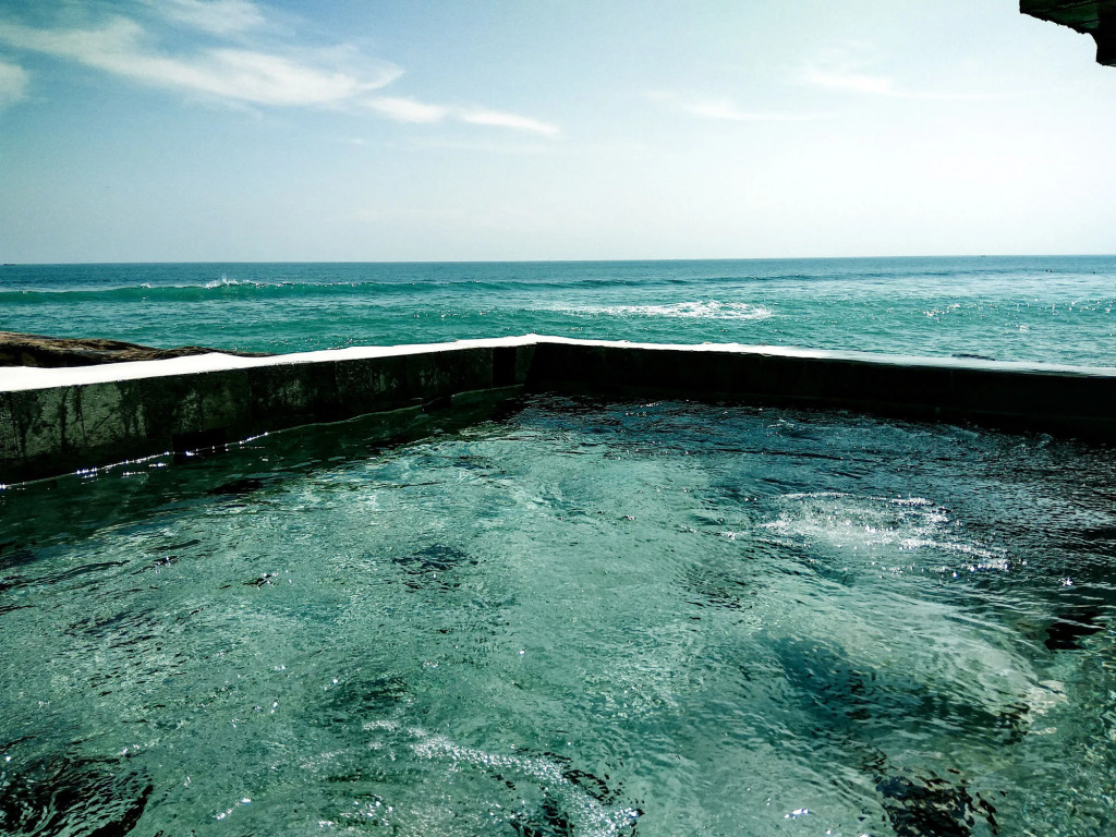 Rockn Reef