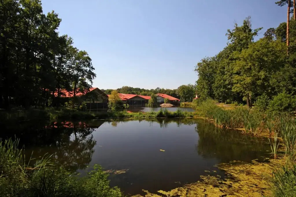 Stacja Nowa Gdynia Bed & Breakfast Aquapark
