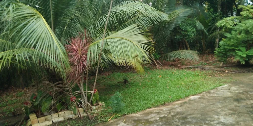 Privet Villa Nisala, Hikkaduwa,srilanka
