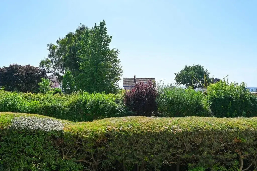 FeWo Meerblick am Kurpark Nr 7 - Fernsicht