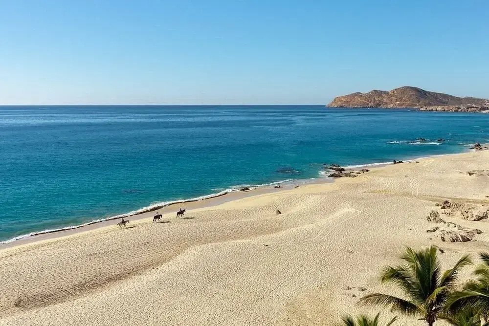 2BD Oceanview Suite Garza Blanca Cabo