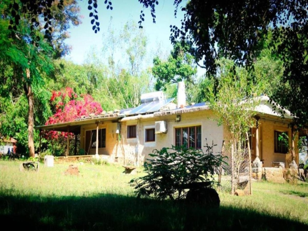 Jungle Hut Resort