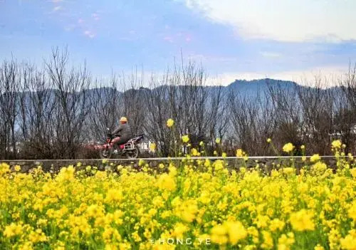 Xingyi Wanfeng Lin Jianshan Guest House