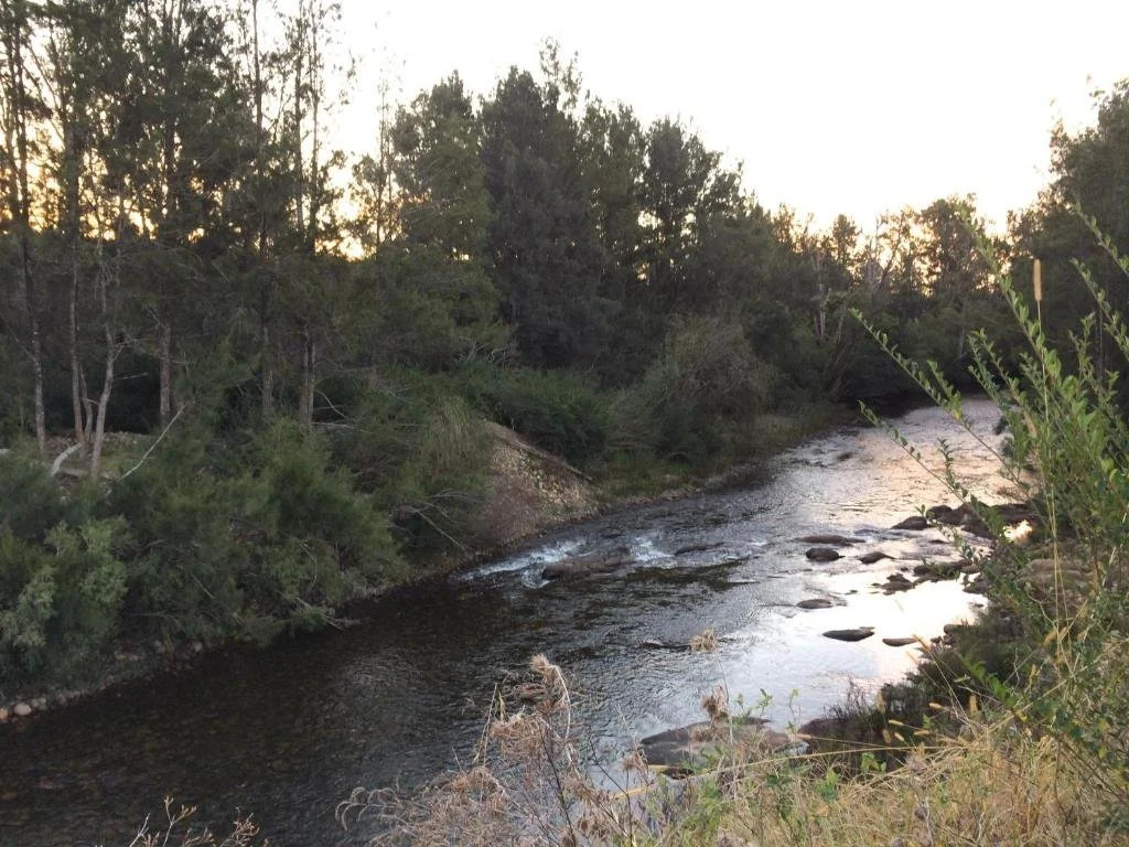 Old Schoolmasters Cottage on the Barrington River