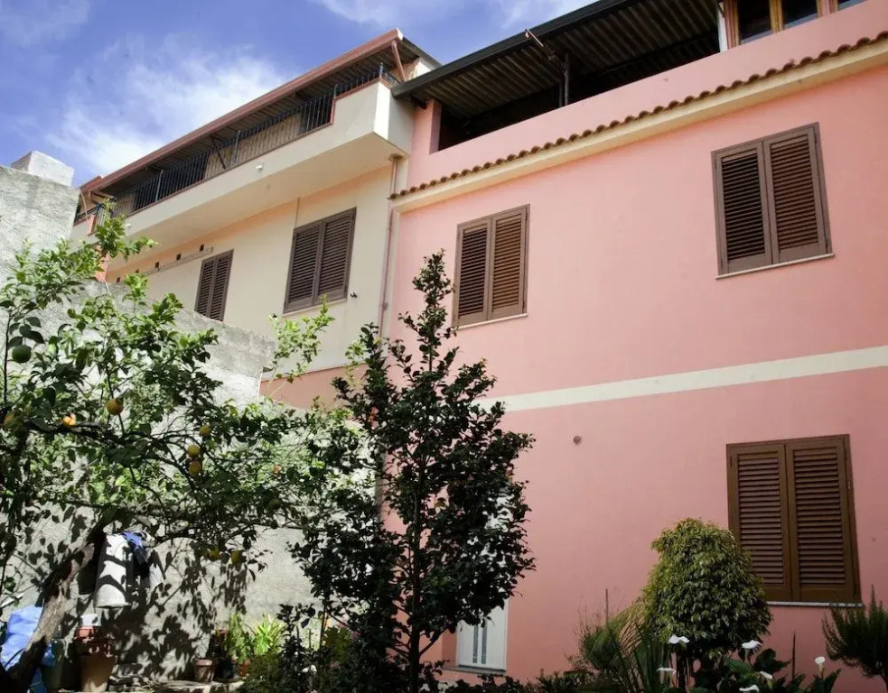 LAgrifoglio di Emy