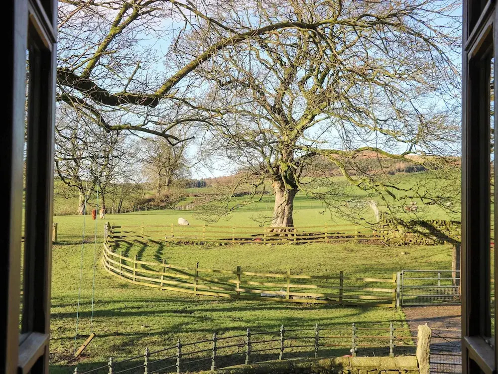 Bay Horse Farm