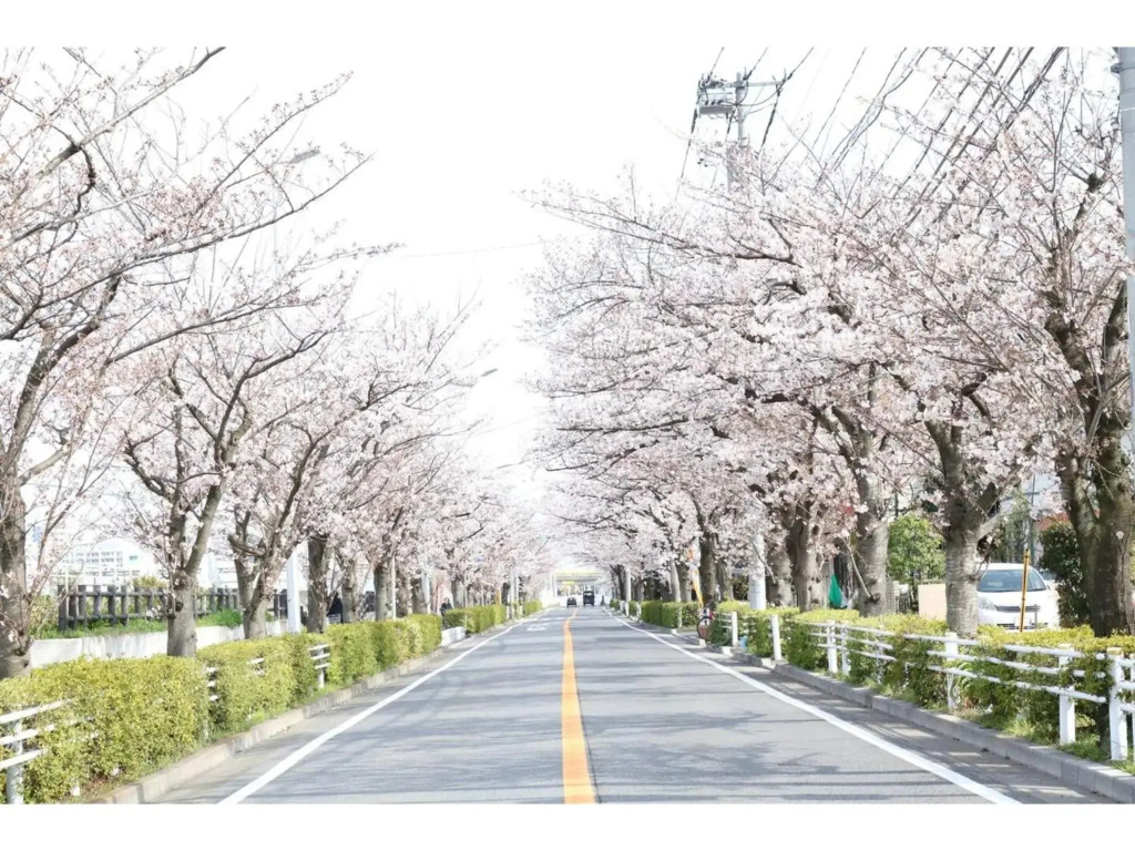 Grandeur Imagawa - Vacation STAY 11149