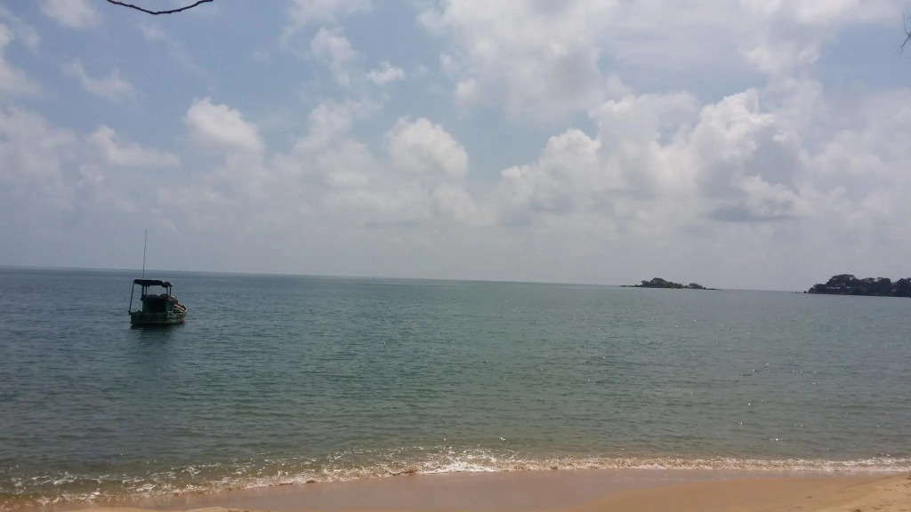 Free Beach
