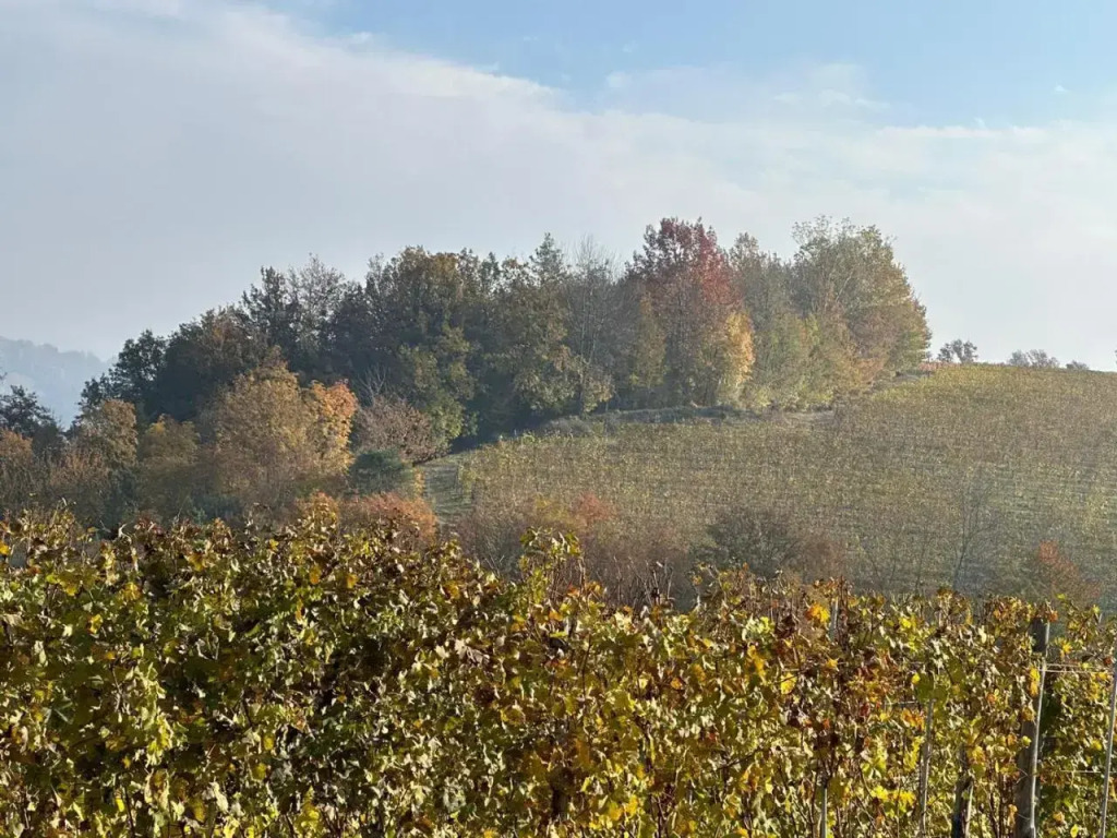 Cascina Boschetti