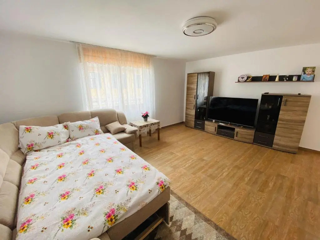 Andrei's house