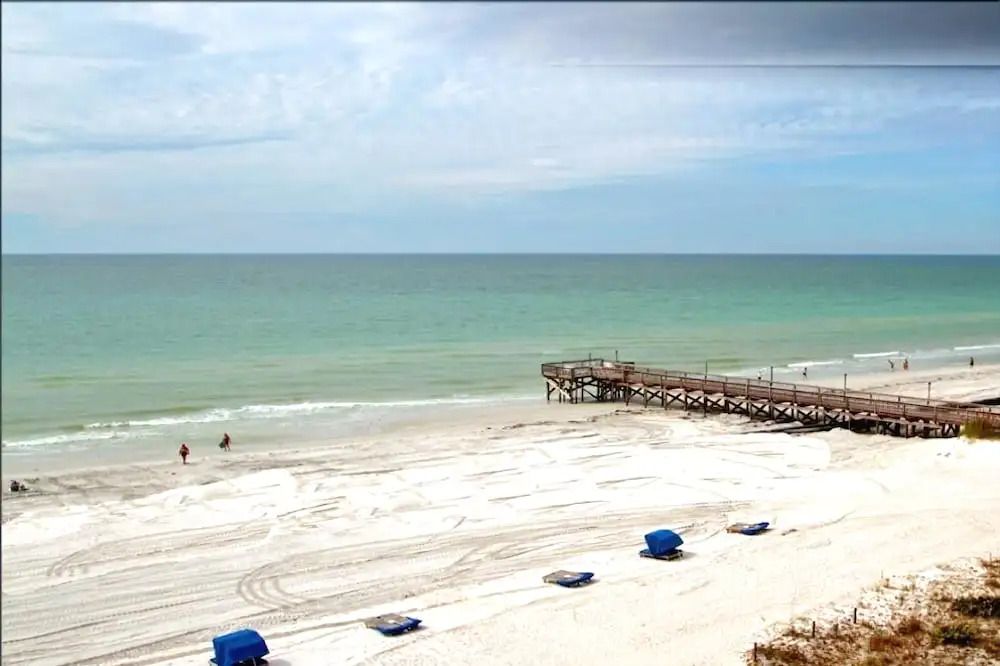 Beach Palms 402