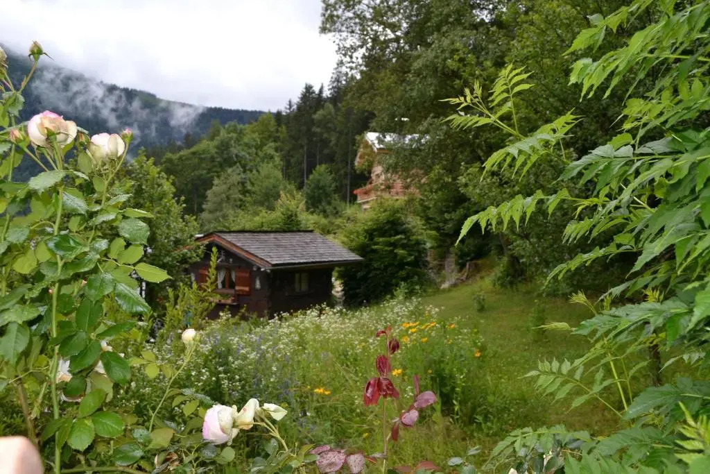 Chalet Les Soldanelles