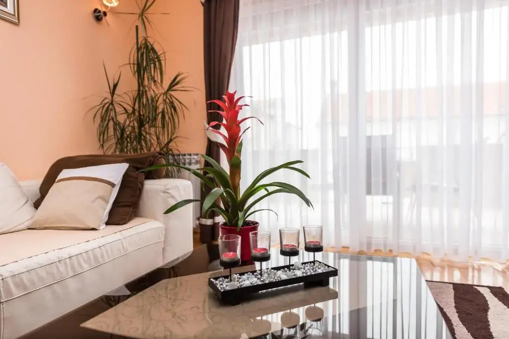 Kristina Apartments