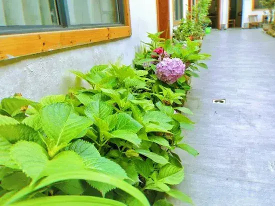 Ting Yutang Homestay