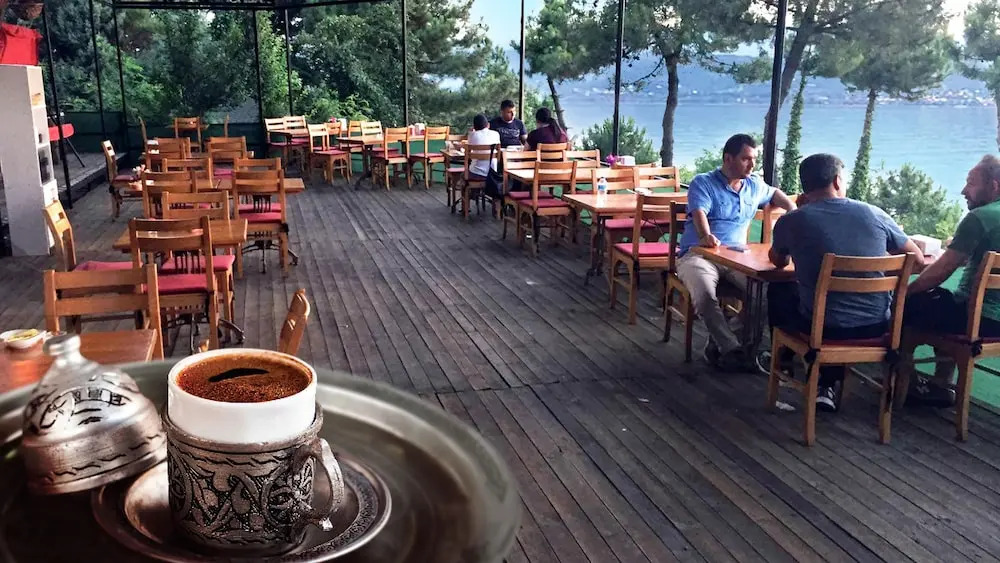 Sakarya Il Ormani Tabiat Parki Konaklama Evleri