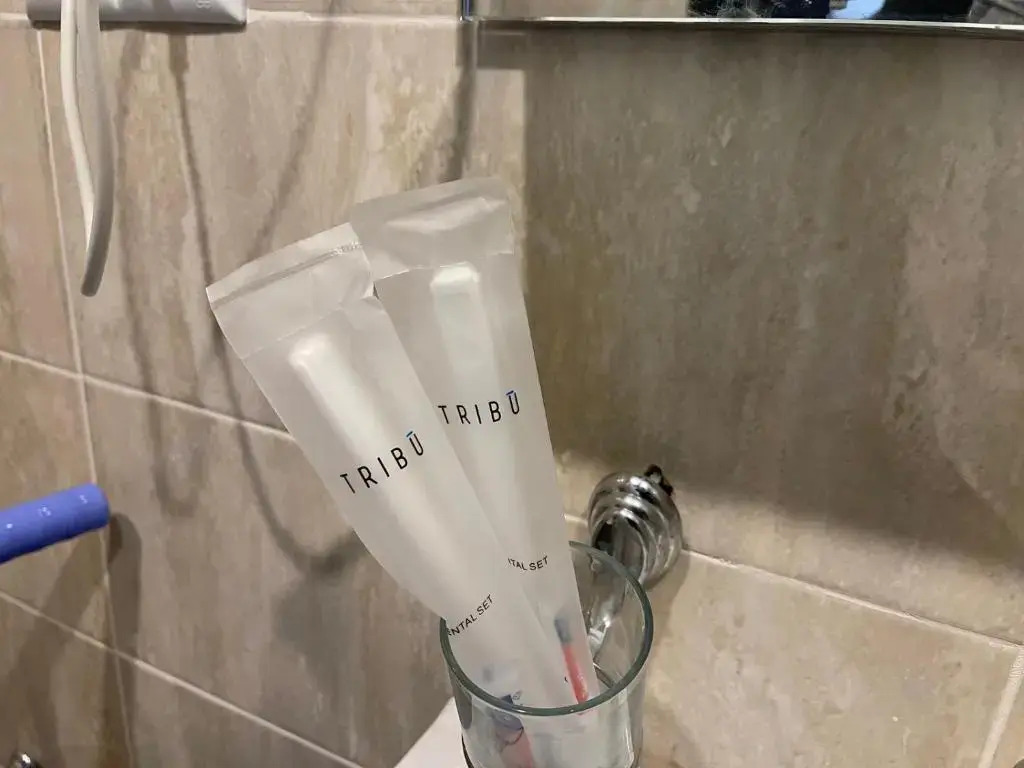 Tribu Appartment Didveli