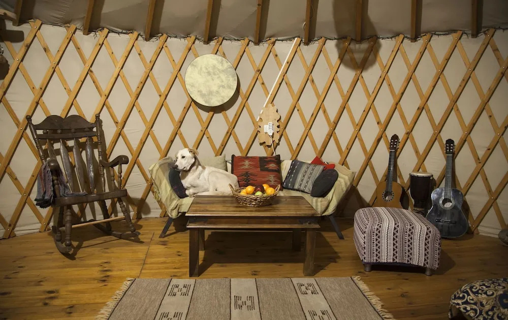 Yurt Located in a Little oak Grove