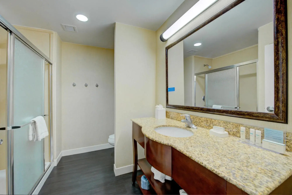 Hampton Inn Baton Rouge - Denham Springs