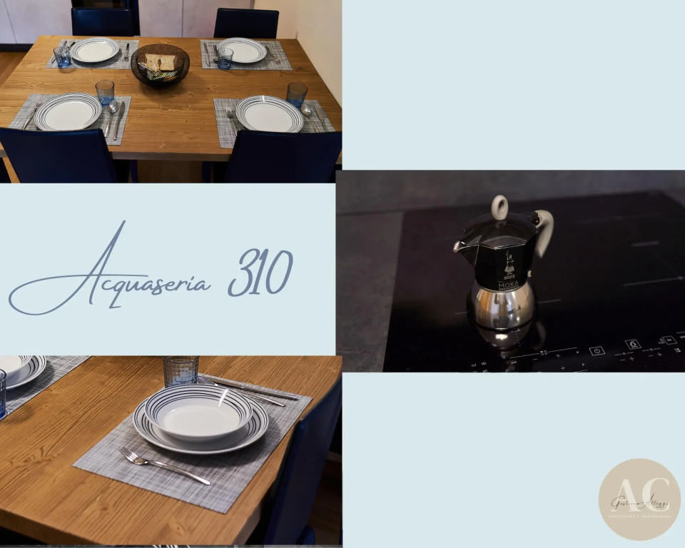Acquaseria 310