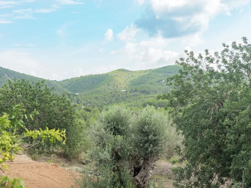 Authentic Finca with Swimming Pool & Hot Tub near Beach