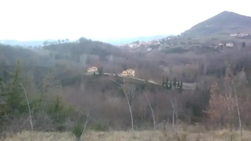 Il Gelso Rosso