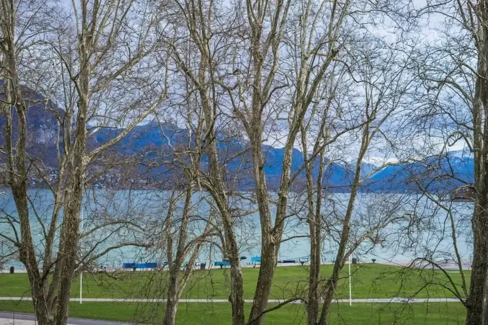 Albigny T2 Apartment Lake View