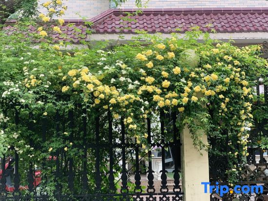 Yinshe Xianglin Homestay (Shanghai Hongqiao Airport Convention and Exhibition Center Branch)