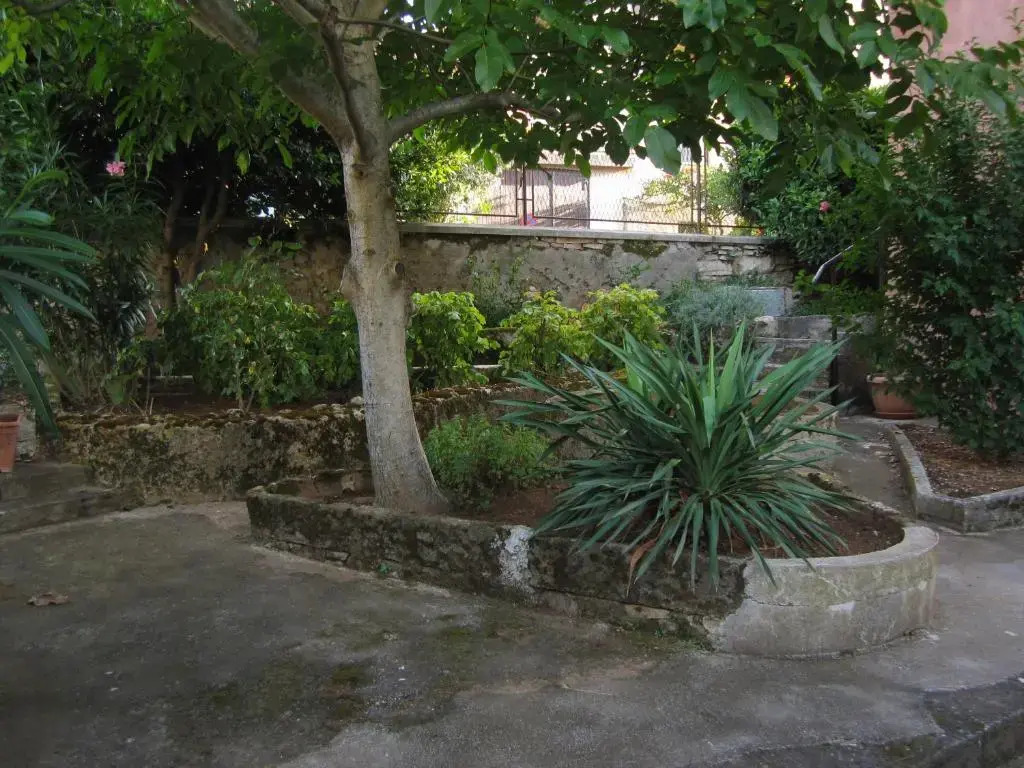 Guest House Ilona