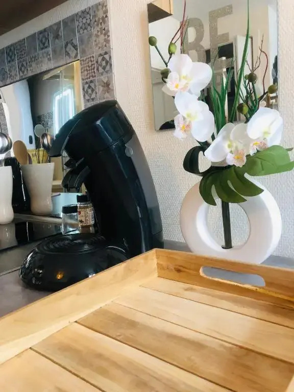 Appart "Les rêves bleus"- 5 min Château Blois - Sweet Home Company