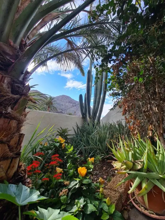 casa limon