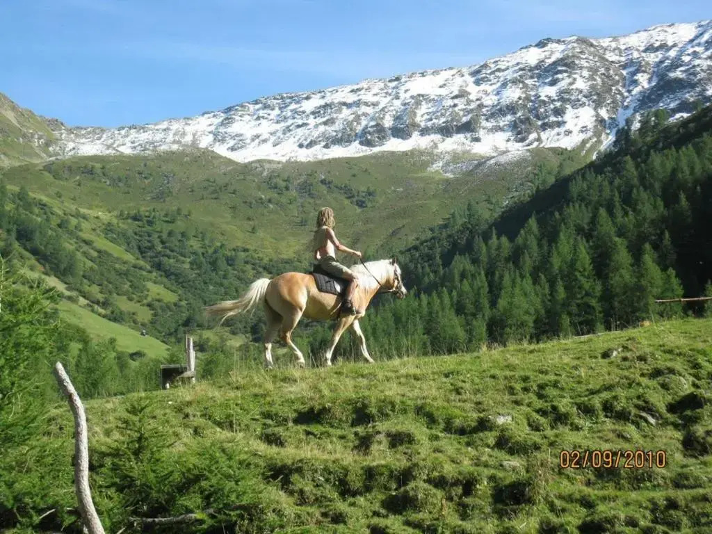 Maxerhütte auf der Alfenalm