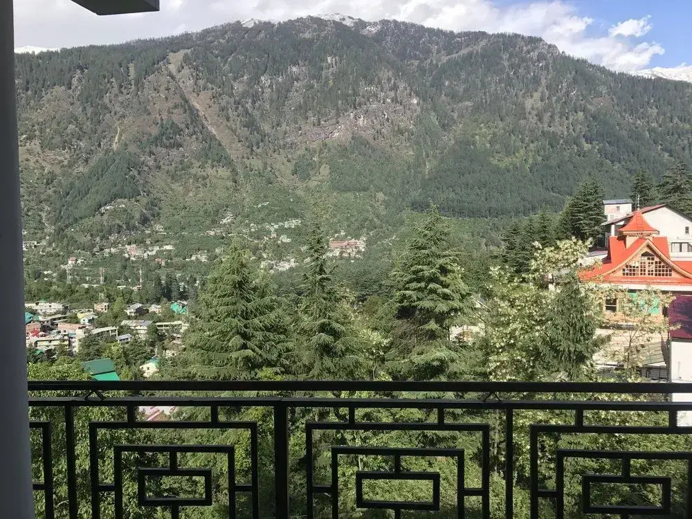 Backpacker Panda Manali