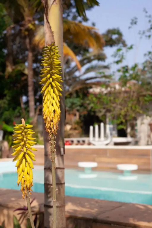 Jardim Secreto Guest House