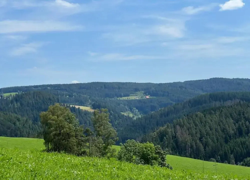 Ferienwohnung, Furtwangen