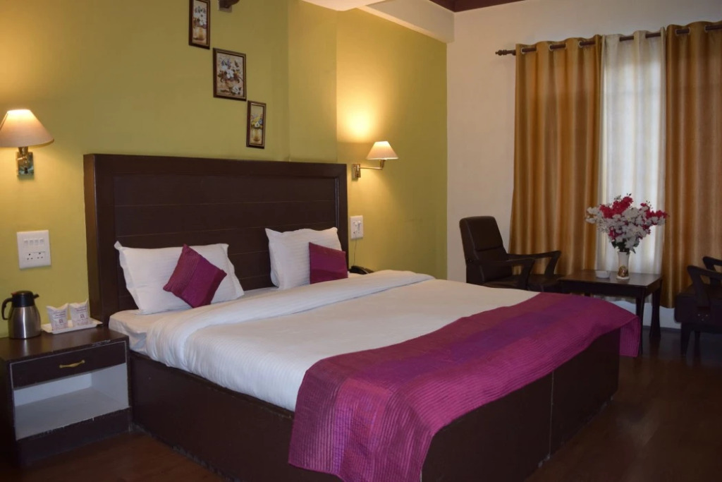Hotel D'Zojila - Kargil