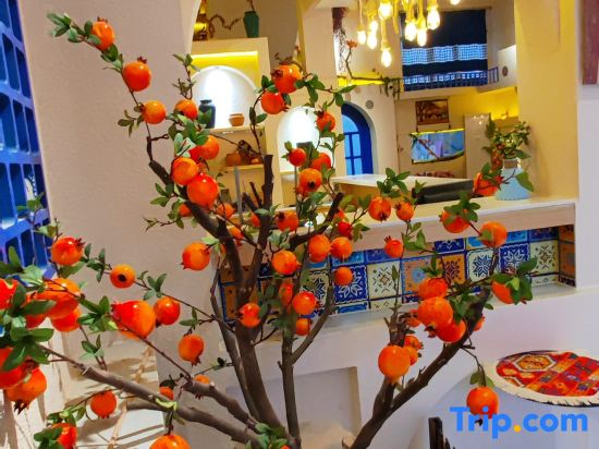 Kashgar  Adenium obesum B&B