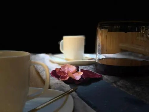 Golden Gapa River Luxury Penthouse 25