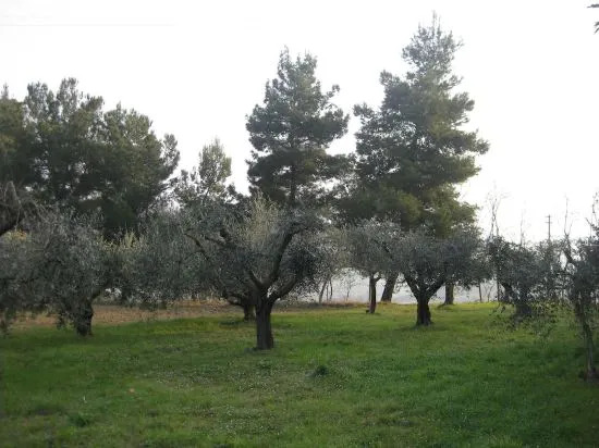 Casa Gaia