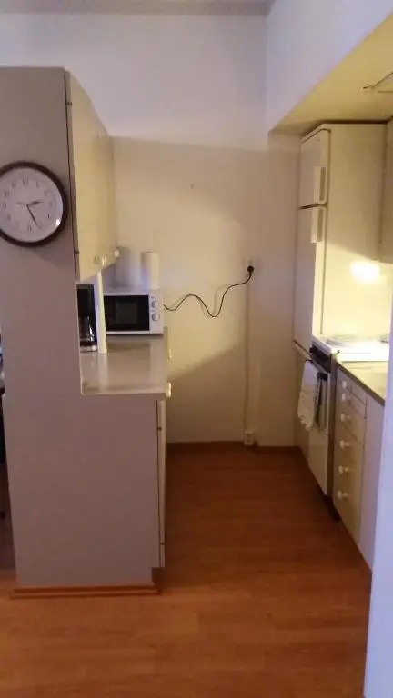 Cosy studio apartment
