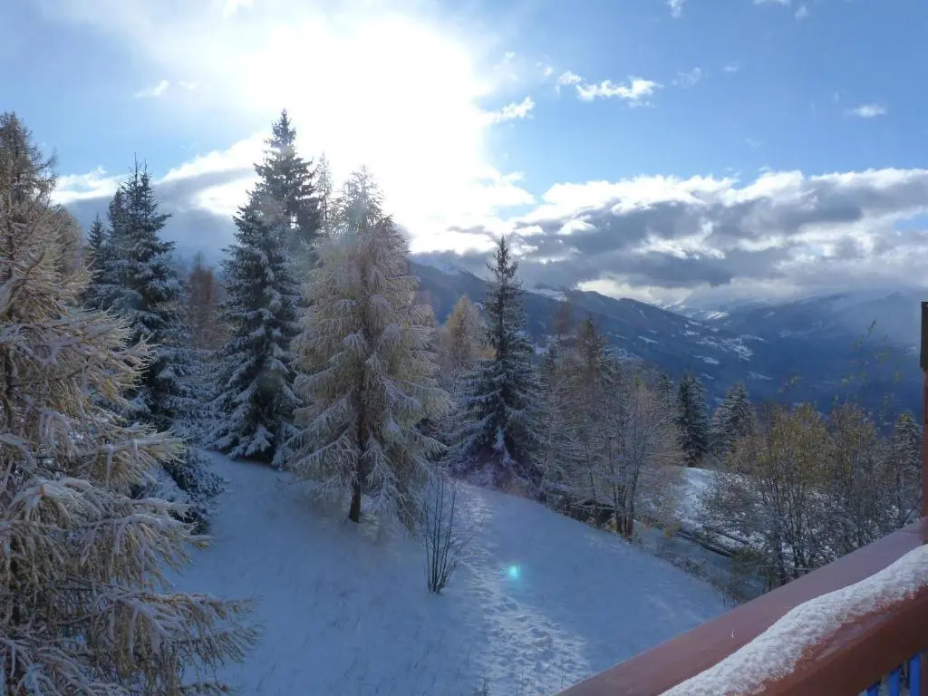 Appartement Les Arcs 1800, 1 pièce, 4 personnes - FR-1-411-257