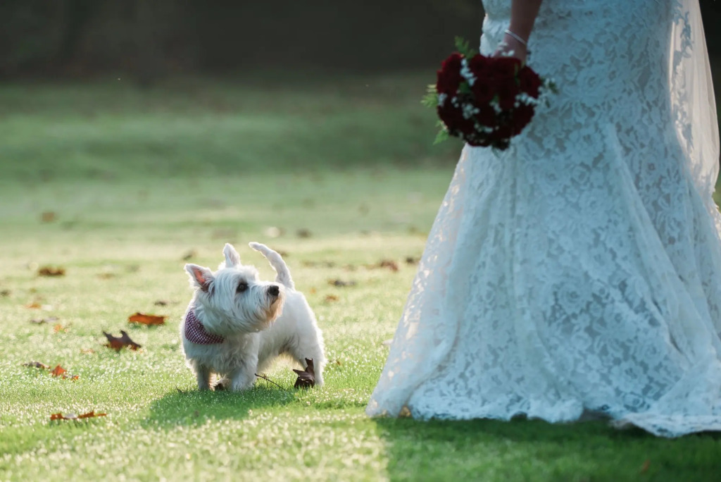 Cantley House Hotel - Wokingham